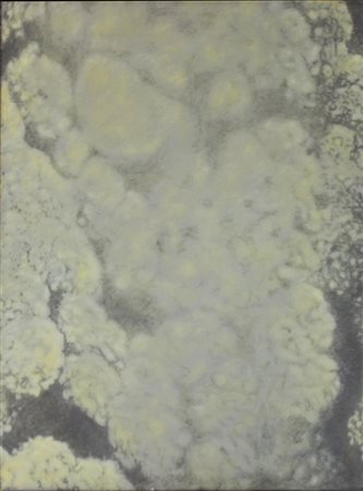 VAN VREDEN MARTIN, Senza titolo, 1984