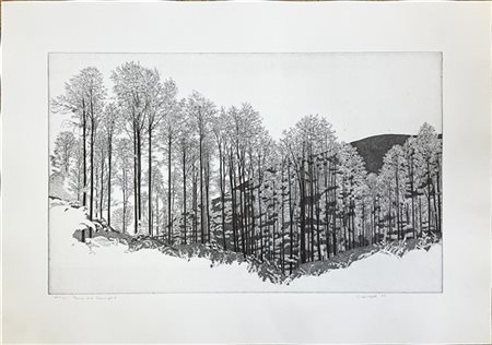 Federica Galli "Bosco del Cansiglio" 1995
acquaforte
(lastra cm 49x79,5; foglio