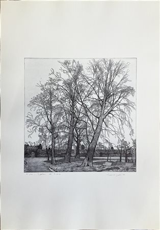 Federica Galli "I platani all'Arena" 1988
acquaforte
(lastra cm 49,5x49; foglio