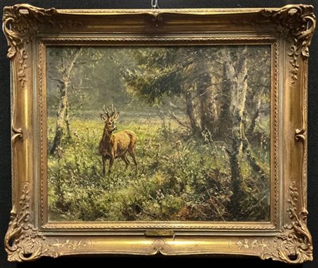 Wilhelm Buddenberg "Cervo" 
olio su tela (cm 40x50)
firmato in basso a destra
in