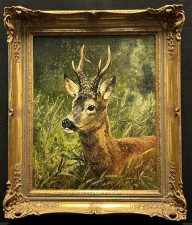 Wilhelm Buddenberg "Capriolo" 
olio su tela (cm 50x40)
firmato in basso a sinist