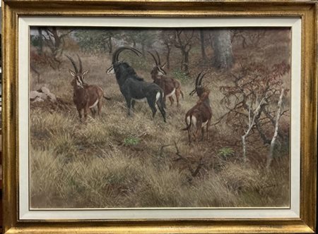 Fritz Laube "Antilopi" 
olio su tela (cm 60x90)
firmato in basso a destra
al ret