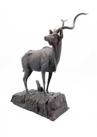 Ignoto del secolo XX

"Antilope Kudu" 
scultura in bronzo (cm 40x28x15) (difett
