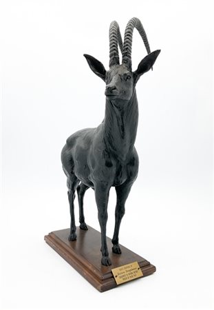 Giuliano Giangaleazzo (Attribuito)

"Antilope" 
scultura in bronzo (cm 40x28x10)