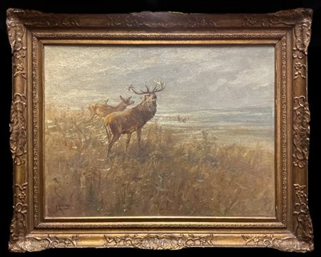 Albert Holz "Cervi" 
olio su tela (cm 60x80)
firmato e iscritto in basso a sinis