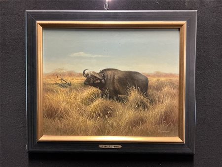 Bernd Pöppelmann "Il bufalo" 
olio su compensato (cm 40x50)
firmato in basso a d