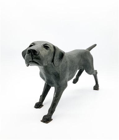 Cesare Rabitti "Cane da ferma" 
multiplo in bronzo (cm 26x54x18) 
firmato, numer