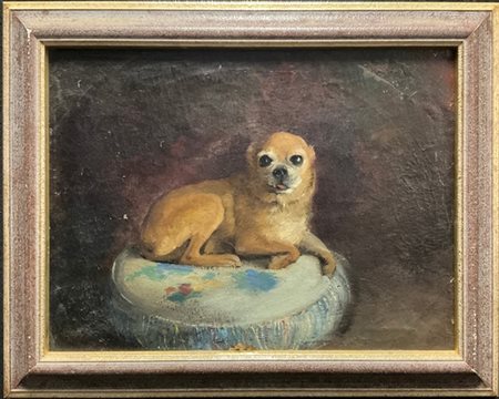 Ignoto del secolo XX

"Chihuahua" 
olio su tela (cm 45x58)
al retro: firma non