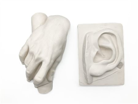 Due modelli anatomici in gesso raffiguranti una mano e un orecchio (l max cm 30