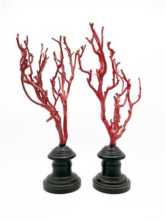Coppia di rami a finto corallo rosso su base in legno tornito ed ebanizzato (h