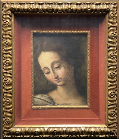 Ignoto

"Testa femminile"
olio su tavola (cm 26x20)
in cornice dorata a teca
(d