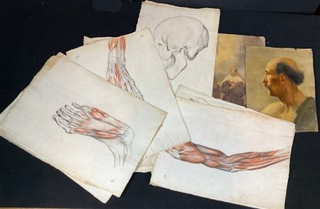 Cartella contenente diversi disegni tra cui moltissimi studi anatomici di Giuse