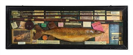 Pesce in tassidermia entro teca lignea corredato da canna da pesca, foto e rita