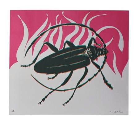 Gino Marotta, Scarabeo dalla cartella 'Lo zoo incantato'