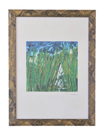 Mario Schifano, Orto Botanico, prova d'artista