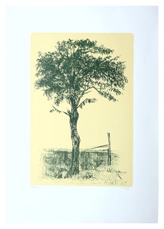 Alberto Ziveri, Senza titolo