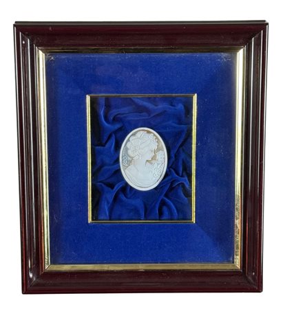 Cameo raffigurante Busto femminile. Dimensioni compreso cornice: 26x23 cm....
