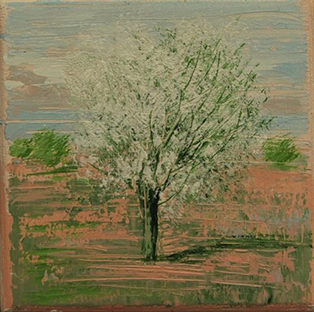 MARIO SOAVE, "Mandorlo", anni 2000