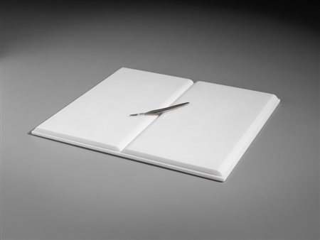 BENTIVOGLIO MIRELLA (n. 1922) - SENZA TITOLO (LIBRO CON PIUMA IN ARGENTO) .