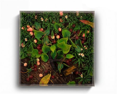 GILARDI PIERO (1942 - 2023) - CILIEGE.