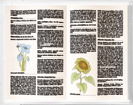 E' il colore a dominare il centro