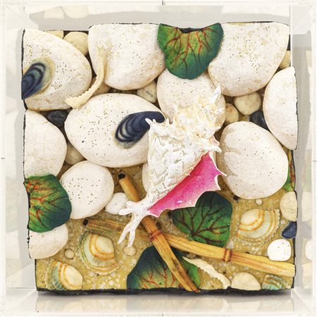 Spiaggia con conchiglia