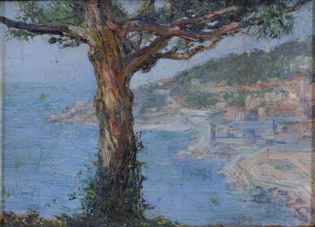 Costiera amalfitana - (al verso "Acquario con polipo e ricci di mare")