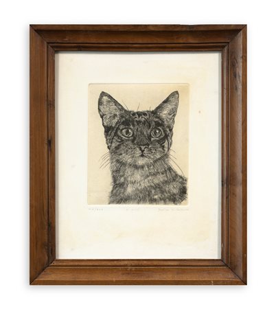 JESSICA CARROLL (1961) - Il gatto