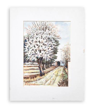 FRANCESCO CAMPOREALE - Senza Titolo
