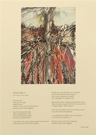 ANONIMO