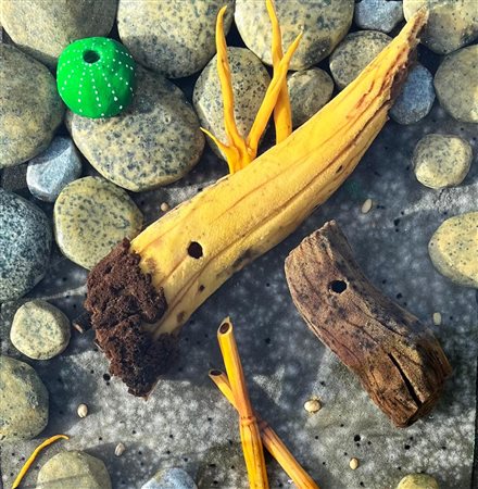 Piero Gilardi “Costa di capo mele” 2008