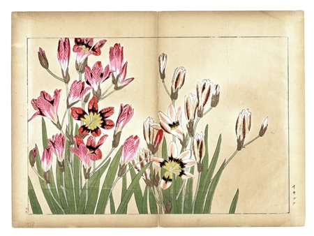 Tanigami Konan, Cinque tavole da Seiyo Soka Zufu (fiori estivi). 1917....