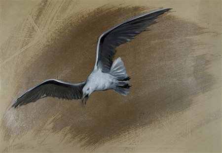 Anonimo della seconda metà del XX secolo, Gabbiano. 1978. Tecnica mista su...