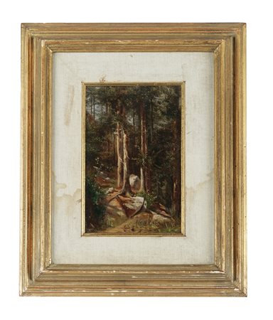 Carlo Markò (il vecchio) [attribuito a], Bosco. 1800. Olio su tavoletta. cm...