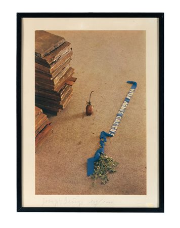 Joseph Beuys, Vitex Agnus Castus. 1973. Offset. mm 588x430 (visibili). Firma...