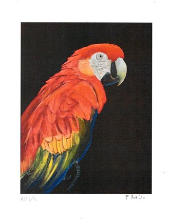 Franco  Battiato (Giarre  1945 - Milo 2021)  - Pappagallo