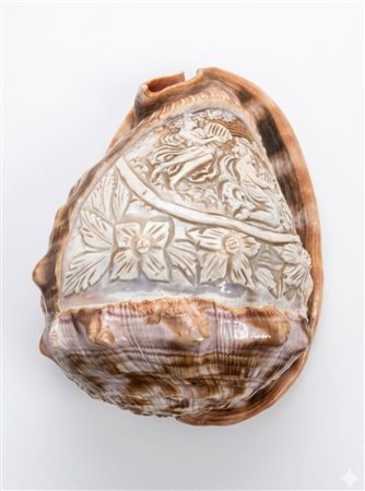 Grande conchiglia "Cassis Madagascariensis" incisa a cammeo Manifattura italiana (Torre del Greco), fine XIX - inizio XX secolo