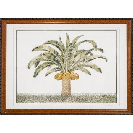 ANNA KENNEL, Litografia a colori