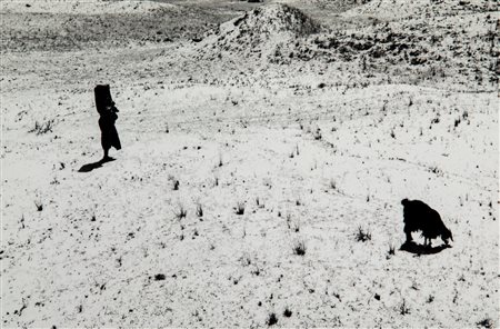 Alfredo Camisa (1927 - 2007)  - Magri pascoli, 1956