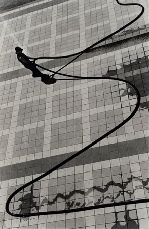 Riccardo Moncalvo (1915 - 2008)  - Serpe d'acqua, 1938