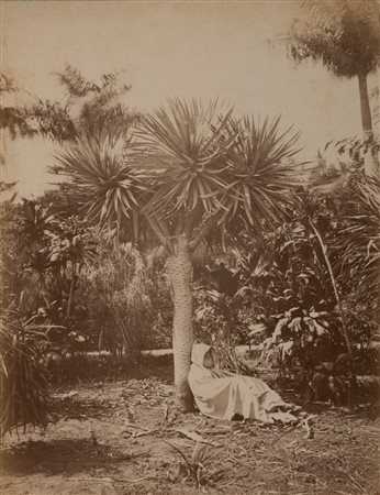 Jean Théophile Geiser (1848 - 1923)  - Algerie,  1880s