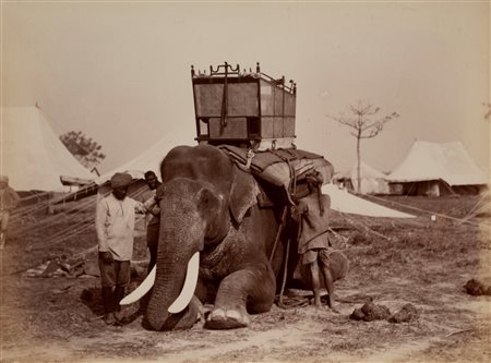 Anonimo - Senza titolo (India), 1870s