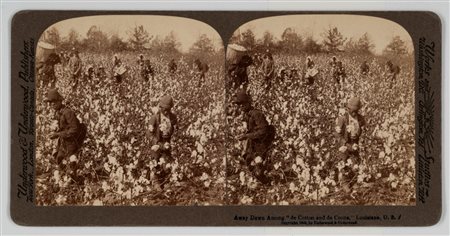 Underwood & Underwood (XIX sec. - XX sec.)  - Away Down Among "de Cotton and de Coons", Louisiana, 1892