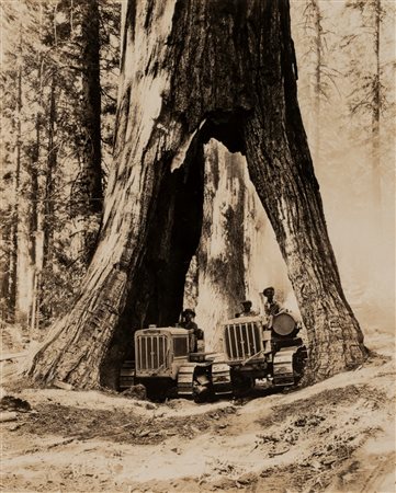 Anonimo - Bach Park, Tulare Country, California, 1929