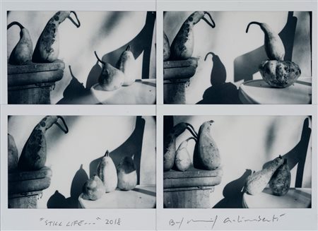 Maurizio Galimberti (1956)  - Still life, 2018