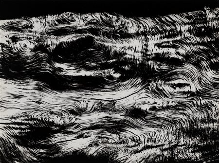 Mario Giacomelli (1925 - 2000)  - Paesaggio, Motivo suggerito dal taglio dell'albero, 1966