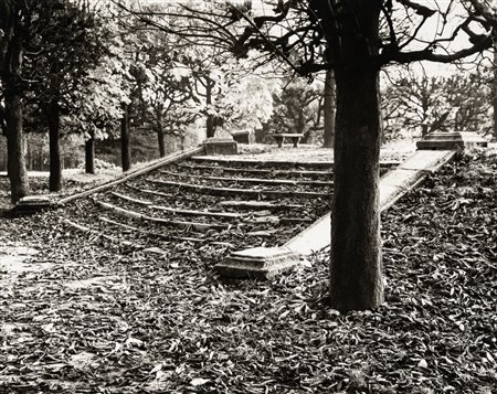 André Kertész (1894 - 1985)  - Parc des Sceaux, 1926