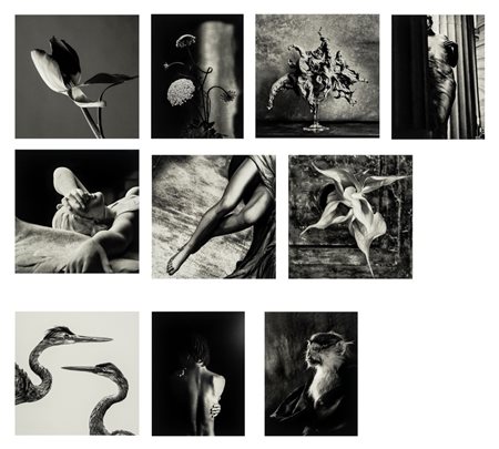 Nanda Lanfranco (1935)  - Portfolio "10 Fotografie", 1983/2008
