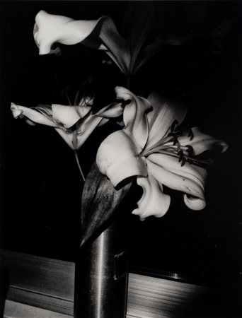 Daido Moriyama (1938)  - Senza titolo (Fiori), 2000s