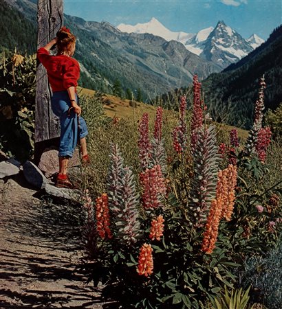 Franz Schneider (1898 - 1974)  - Senza titolo, 1960s